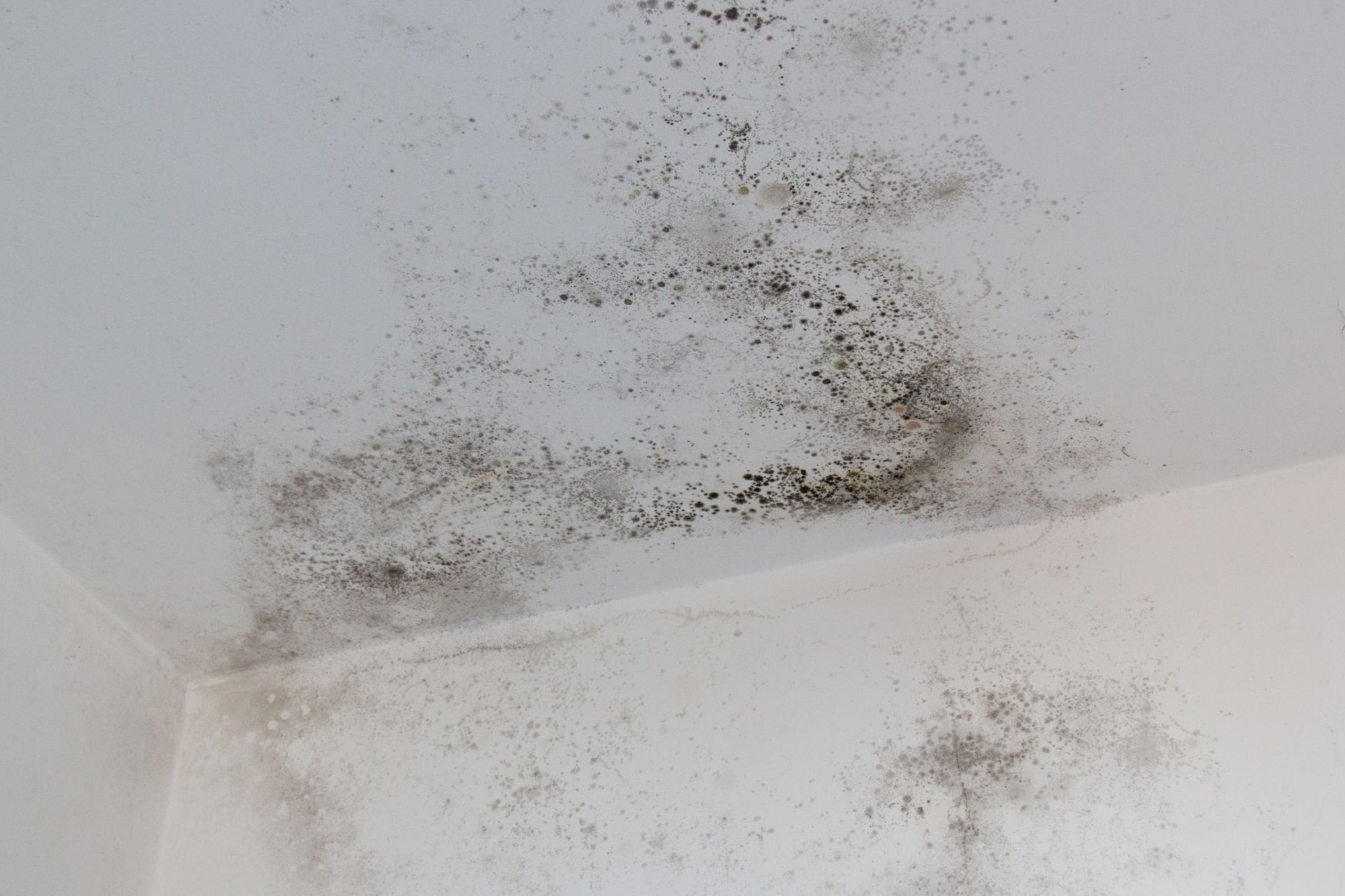 Mold and Mildew Duct Treatment