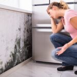 Mold & Mildew Preventative Treatment in Orlando: Protect Your Home with ABC Cleaning Inc.